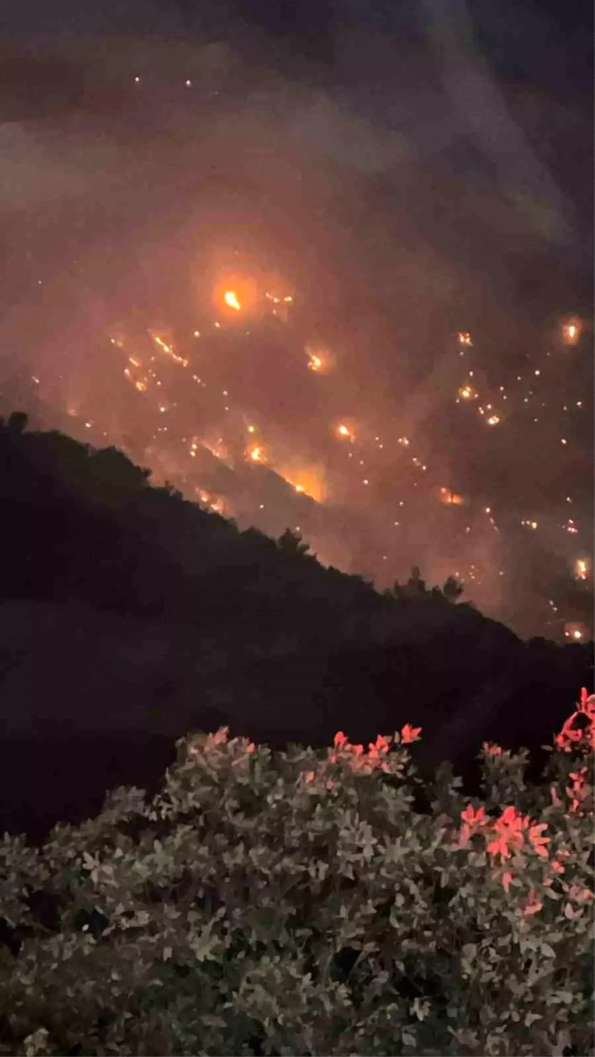 Denizli'deki Yangın Aydın'a Sıçradı