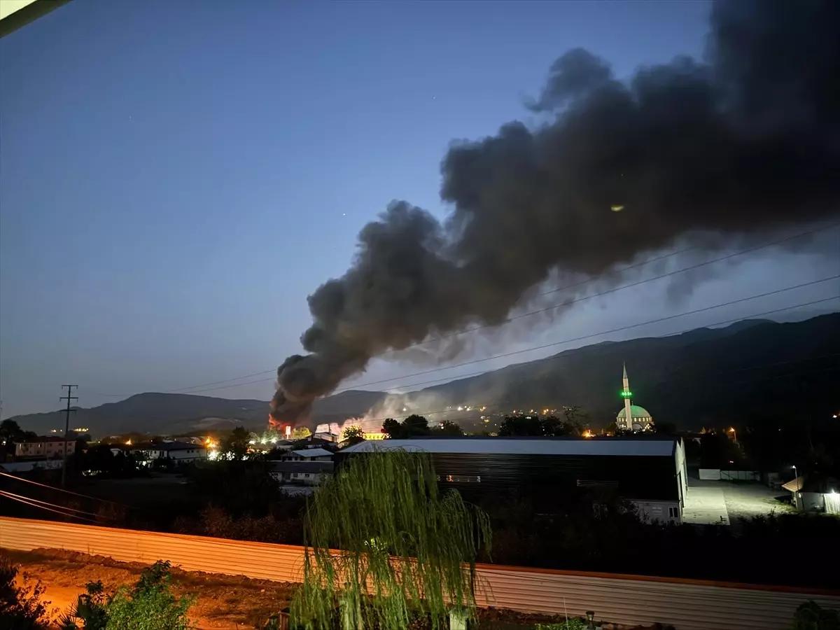 Sakarya'da Boyahanede Yangın