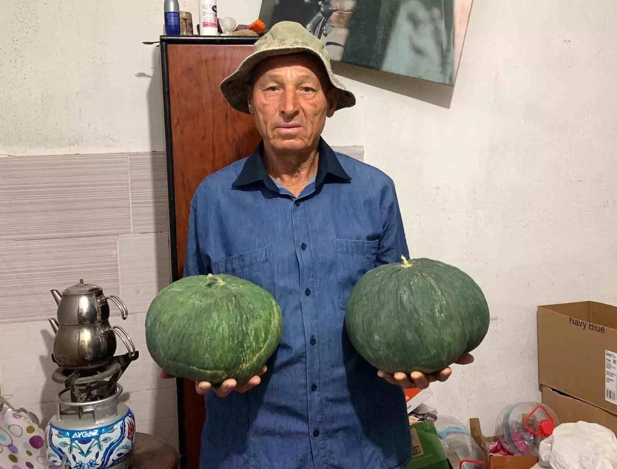 Çavuşlar Kavunu Yeniden Hayat Buldu