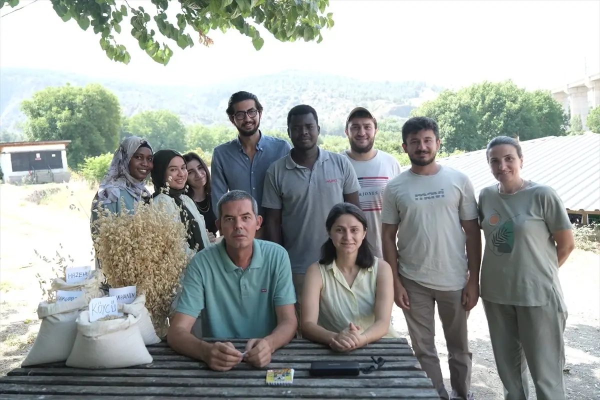 BŞEÜ'den 4 Yeni Yulaf Çeşidi