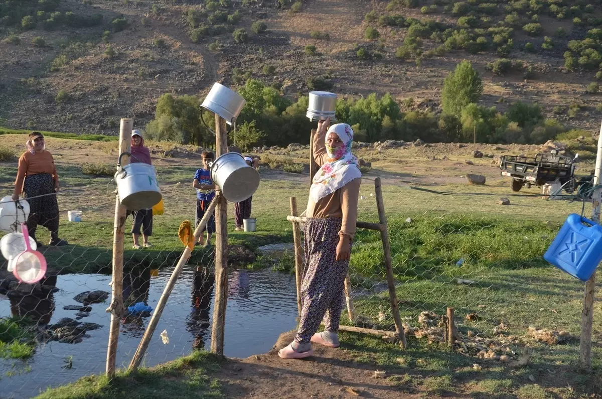 Berivanlar Motosikletle Süt Sağmaya Gidiyor