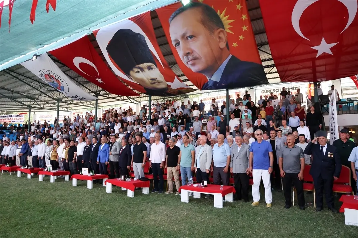 Darende'de Zengibar Karakucak Şampiyonası