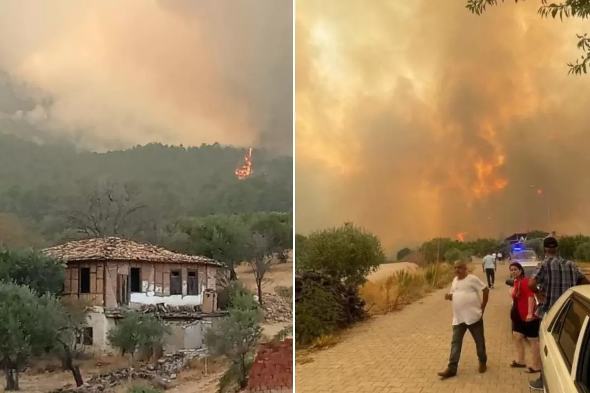 Denizli'de başlayıp Aydın'a sıçrayan yangın yeniden büyüdü! Evler yanmaya başladı