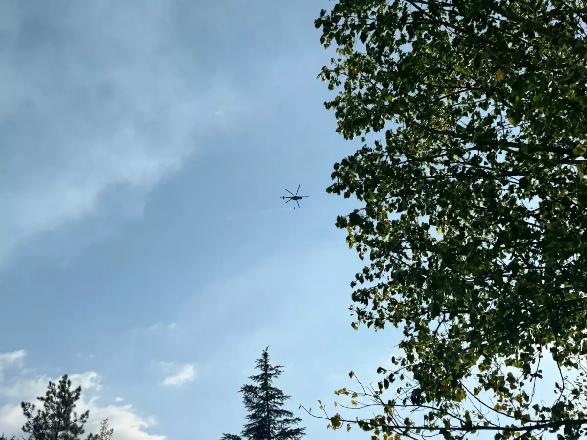 437 Kişi Yangın Nedeniyle Tahliye Edildi