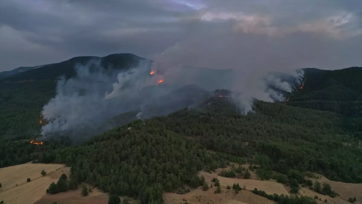 Kastamonu'da Orman Yangınlarıyla Mücadele