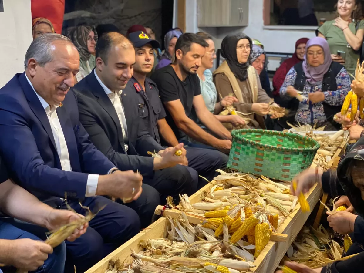 Ulus'ta 200 Yıllık Mısır İmece Geleneği