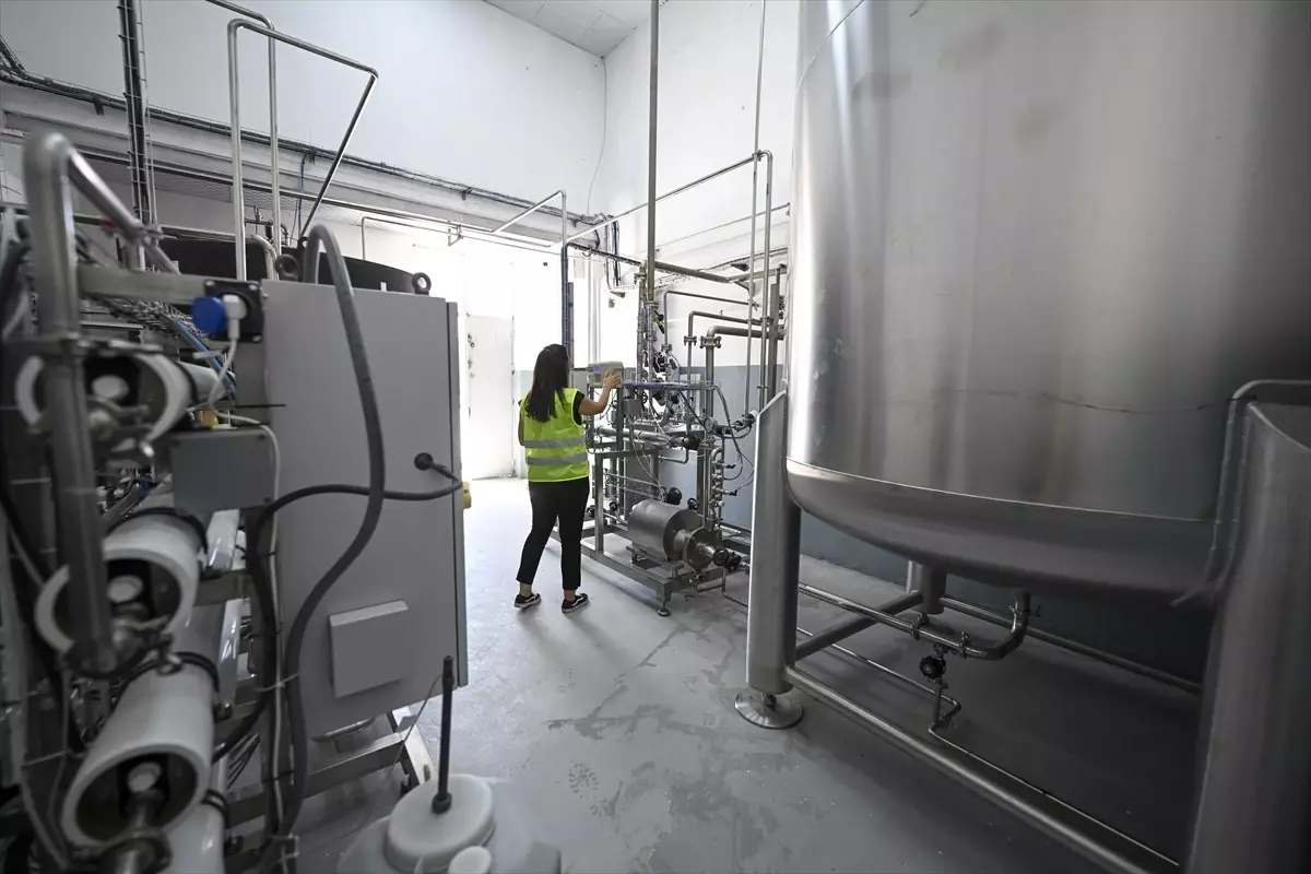 Safir Tuz, 'aktif farmasötik tuz' üretimiyle ülke ekonomisine katkı sağlamayı hedefliyor