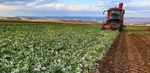 Trabzon Günleri Etkinlikleri Devam Ediyor
