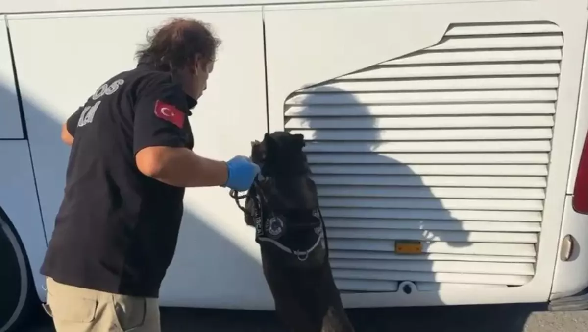 Körfez'de Eroin Operasyonu: 6.7 Kg Ele Geçirildi