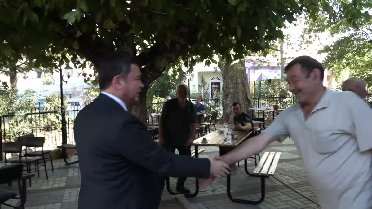 Bursa Siyah İncir Festivali Coşkuyla Kutlanacak