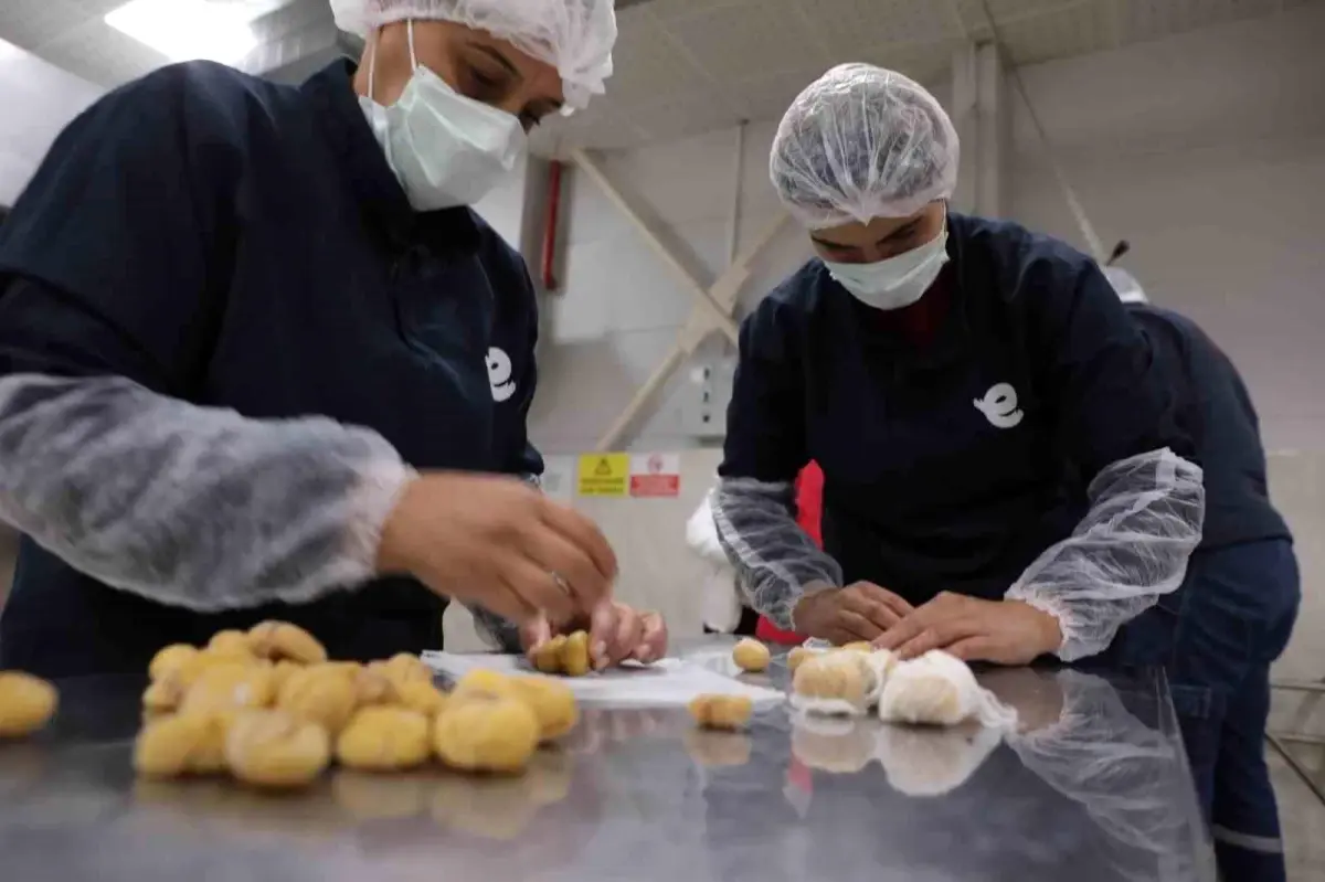 Kadın Emeği Tarımsal Ürün Fabrikası, Efeler'de Ekonomik Desteğe Devam Ediyor