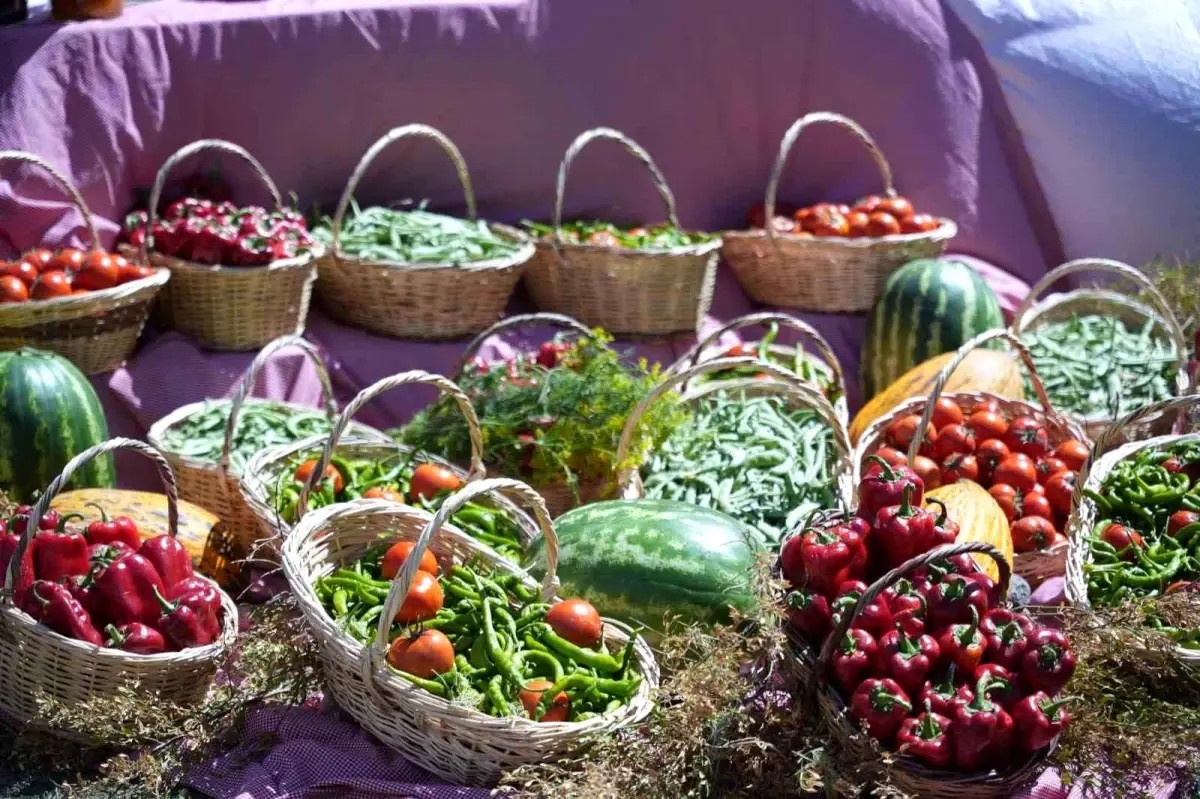 17. Uluslararası Çubuk Turşu ve Kültür Festivali Yapıldı