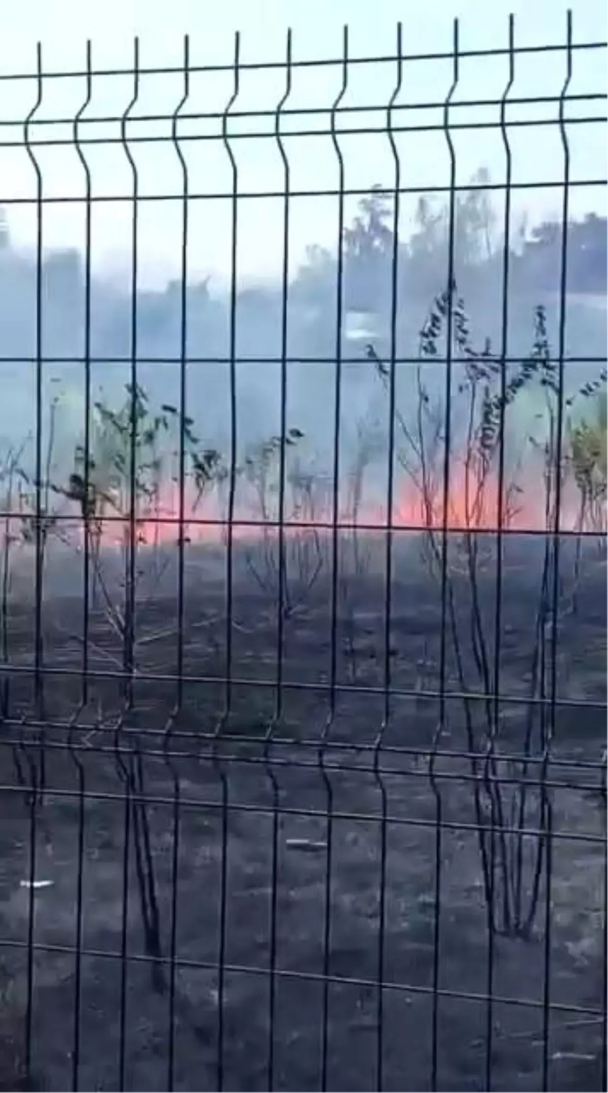 Bursa'da Okul Bahçesinde Yangın