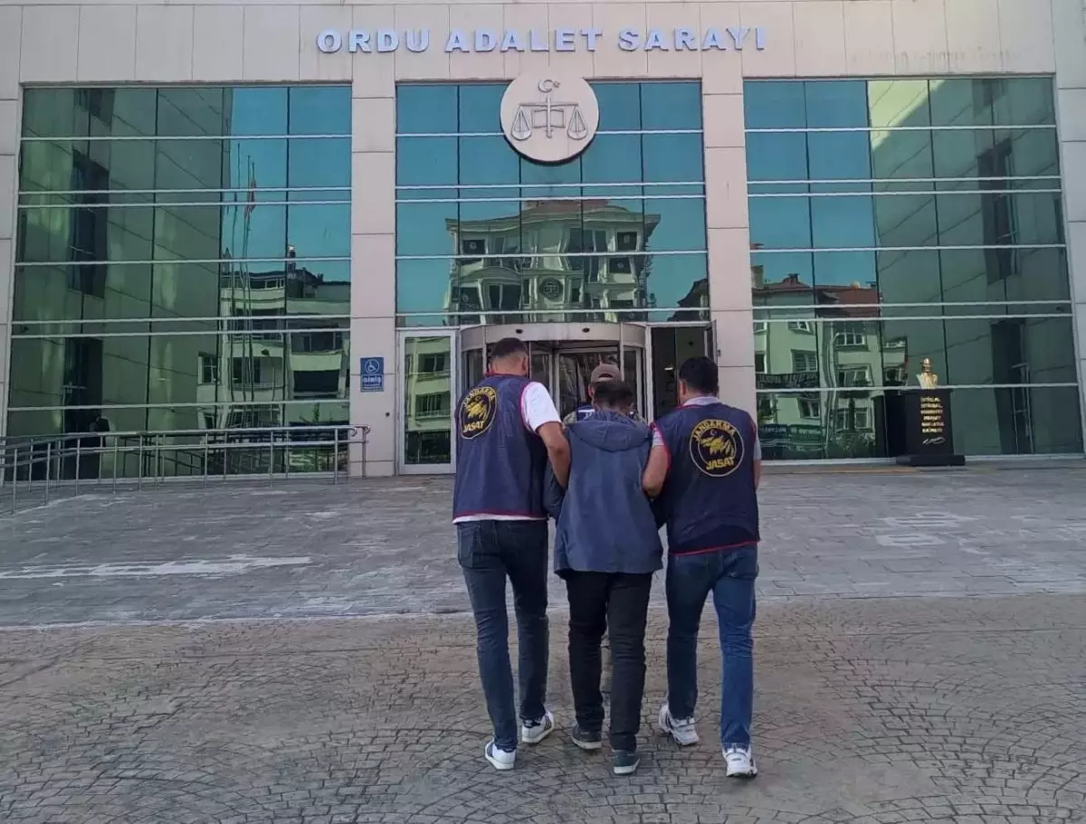 Fındık Hırsızına Tutuklama