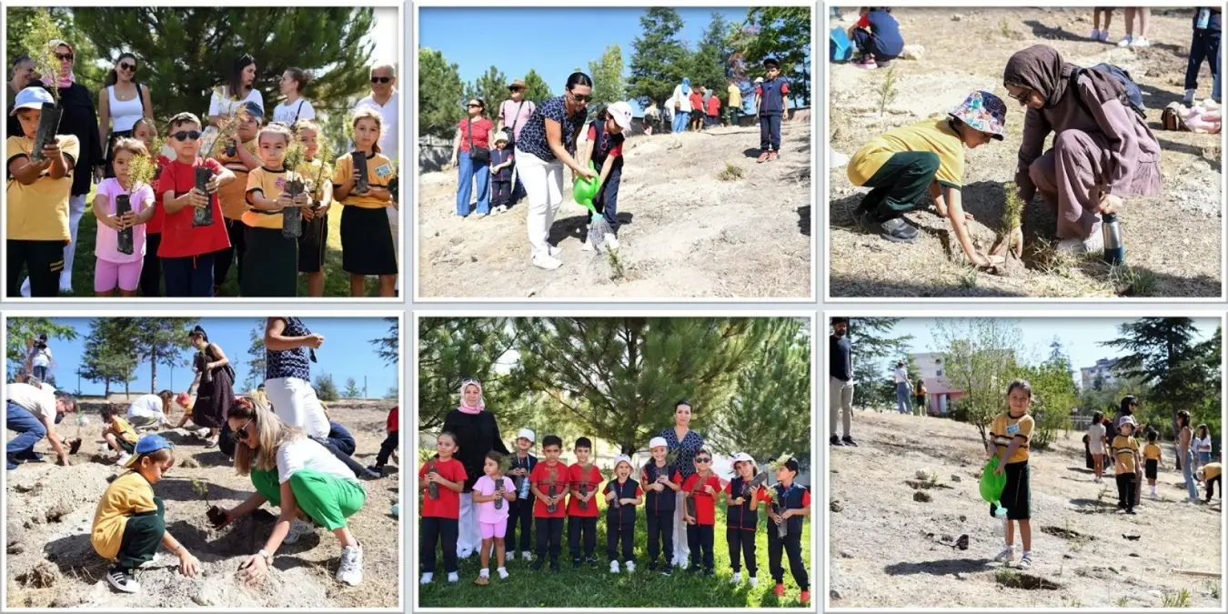 Ankara'da öğrenciler fidan dikti