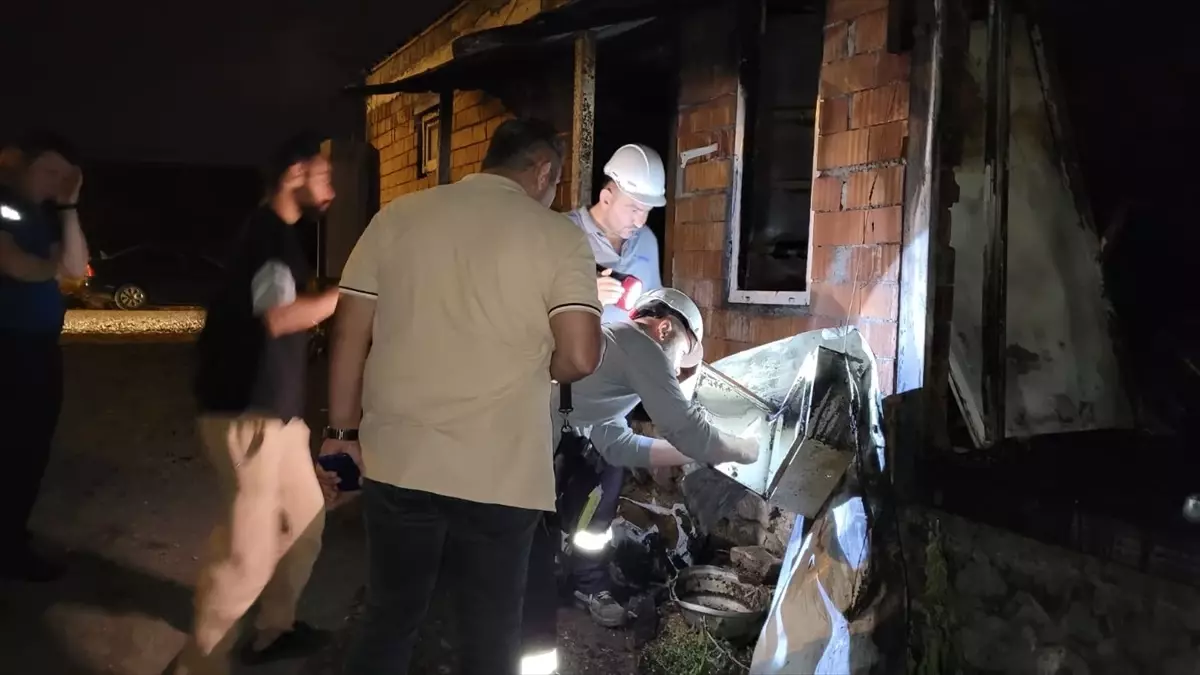 Samsun'da Elektrik Akımı 6 Hayvanı Telef Etti
