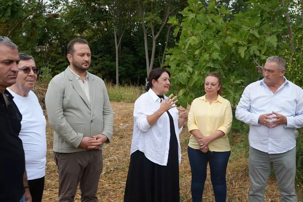 Tekirdağ'da Antik Kent Turu