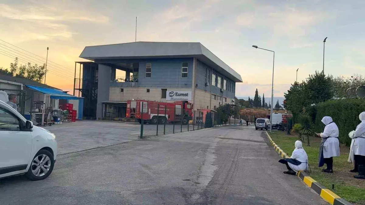 Gemlik'te Yemekhane Yangını