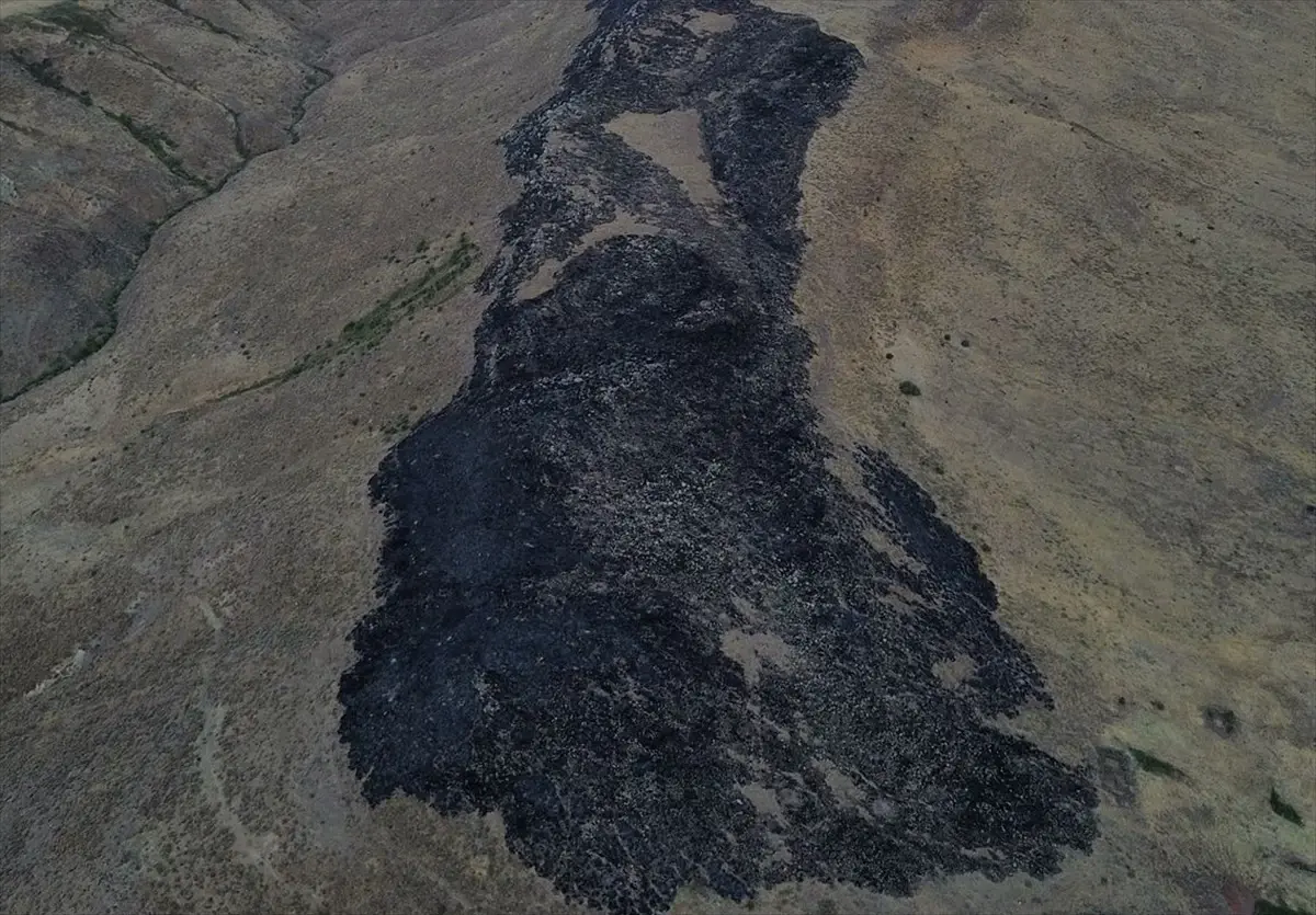 Karakoçan'da Merada Yangın Çıktı