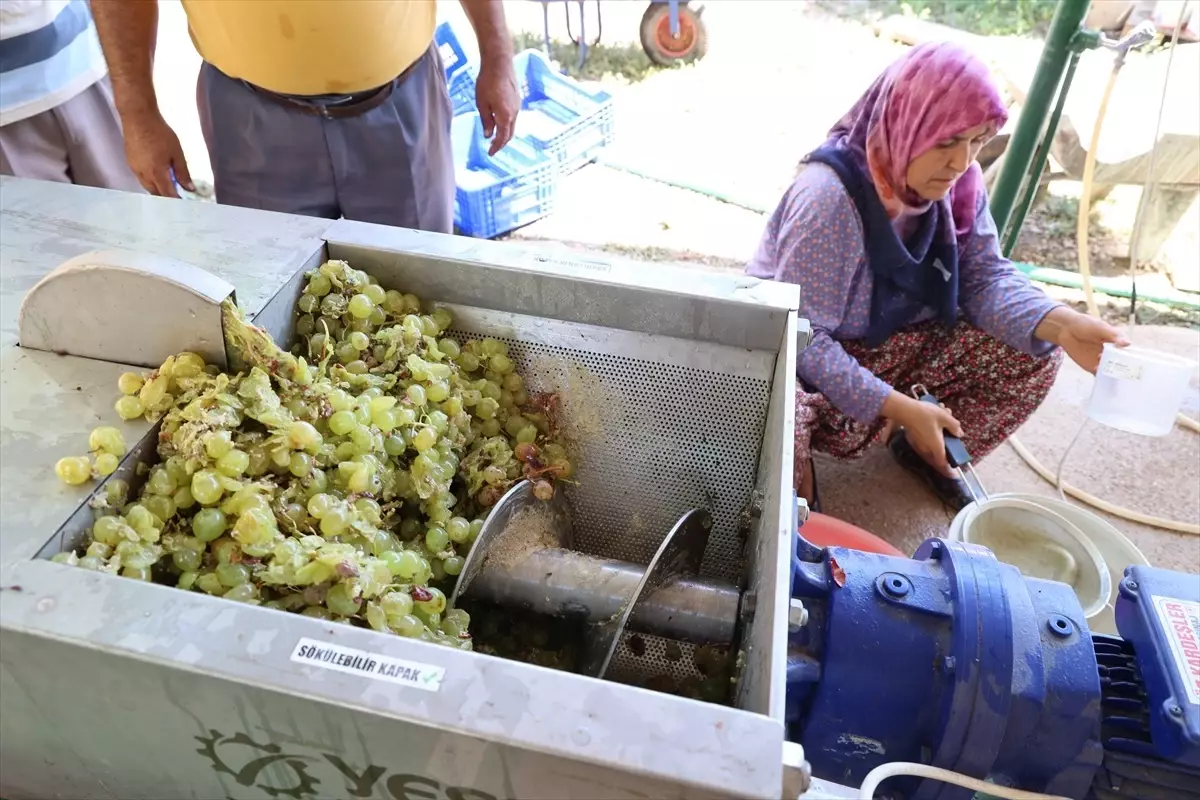 Antalya'da Üzüm Sıkma Makinesi Desteği