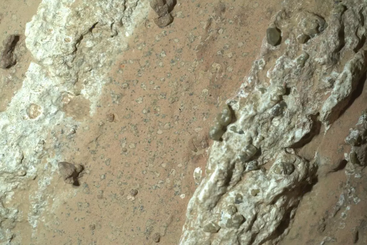 Mars'ta Yaşam Belirtisi Bulundu