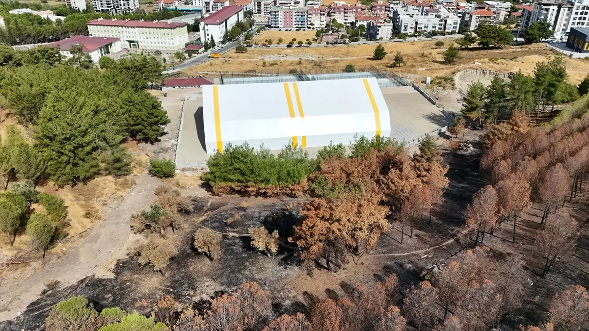 Öğrencilere Orman Bilinci Eğitimi