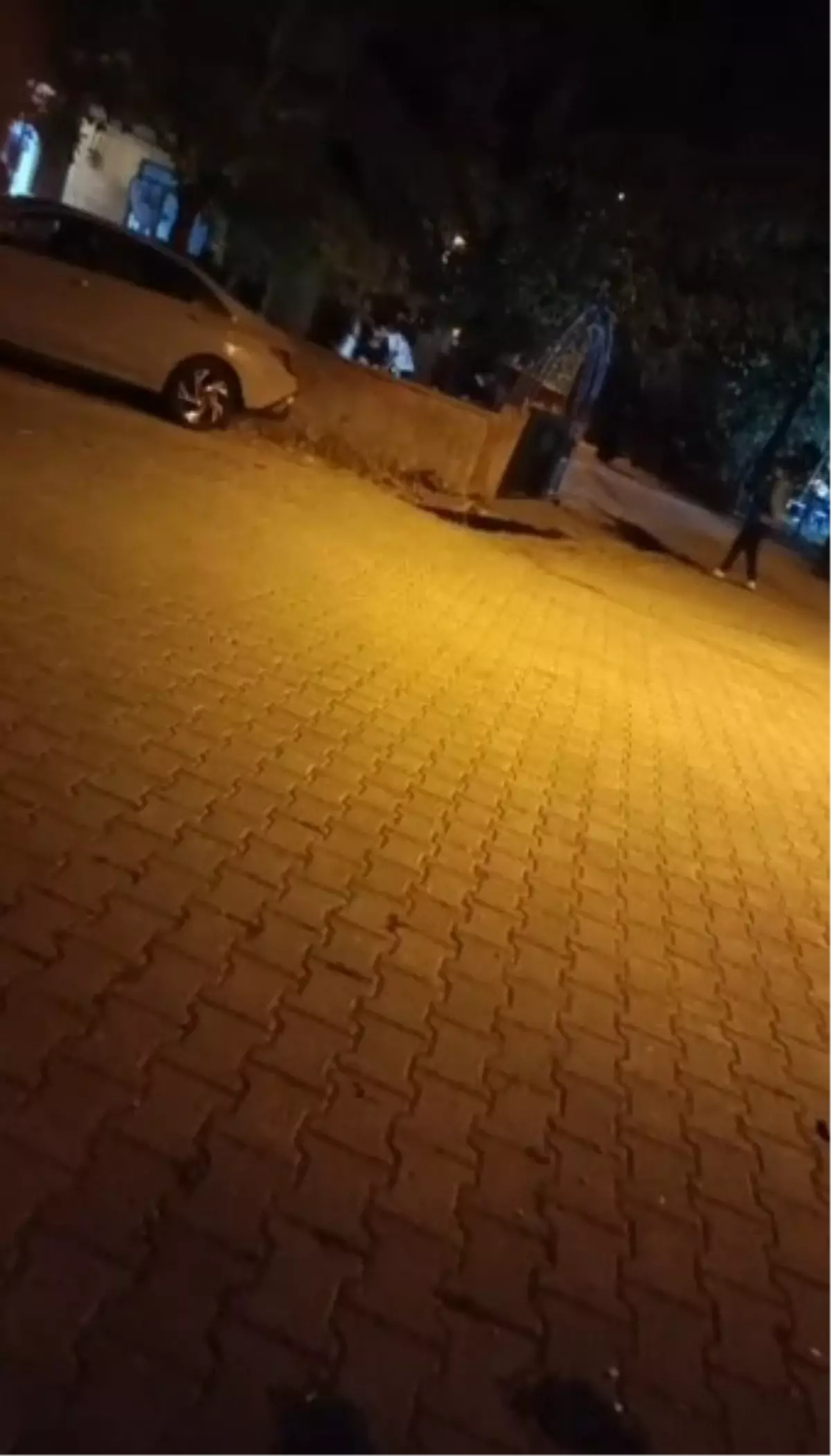 Damat Kayınpederini Vurdu