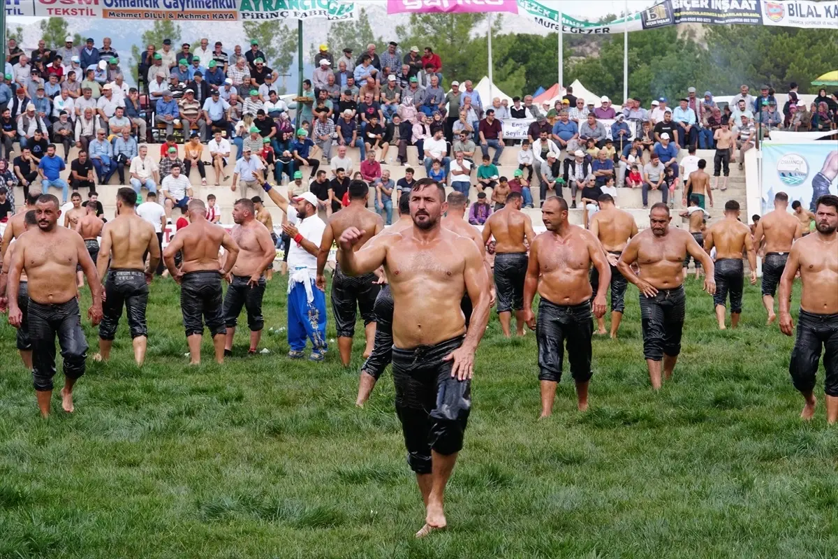 Osmancık'ta Yağlı Güreşlerde Başpehlivan Erkan Taş Oldu