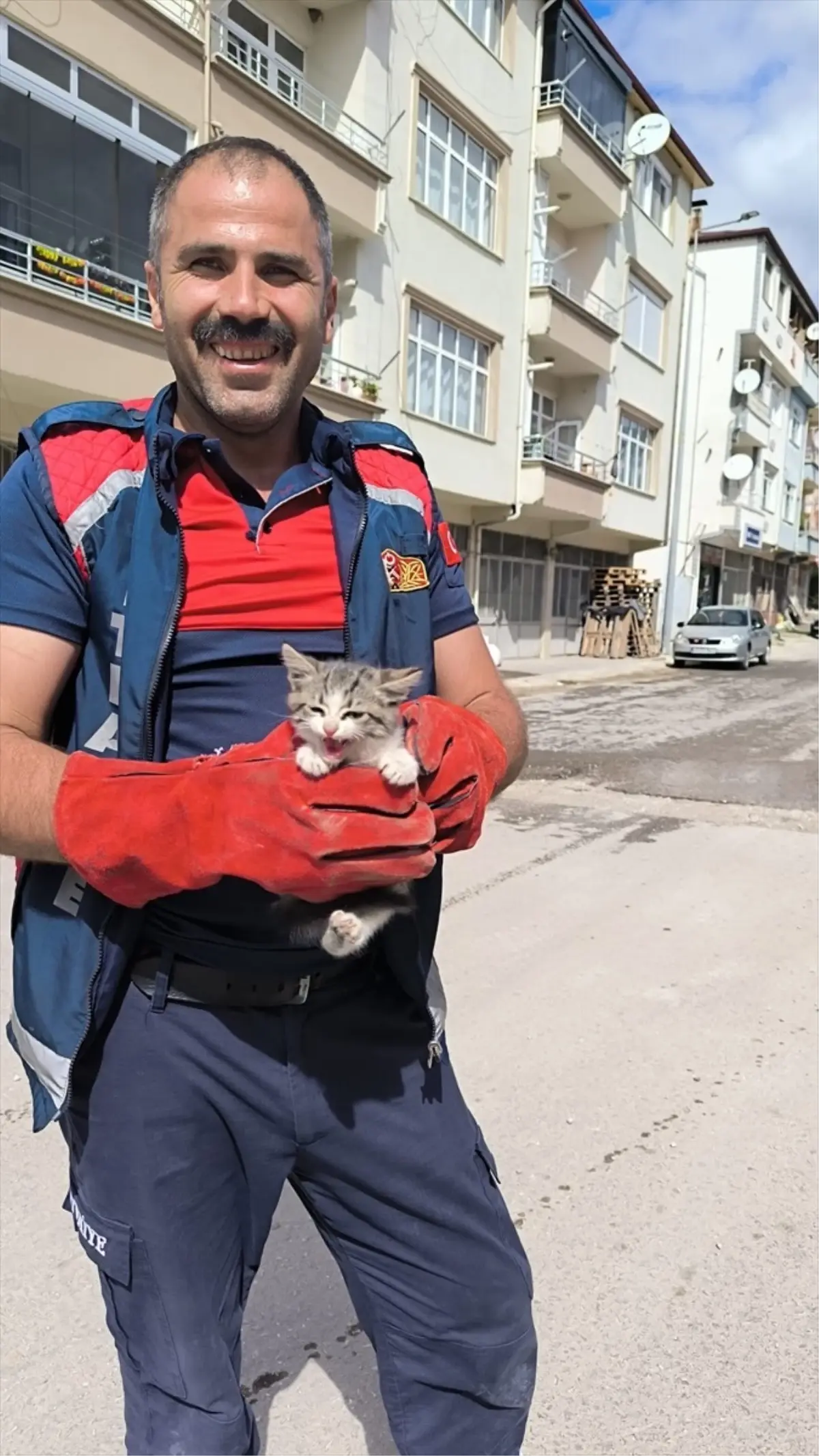 Niksar'da Otomobilden Kedi Kurtarıldı