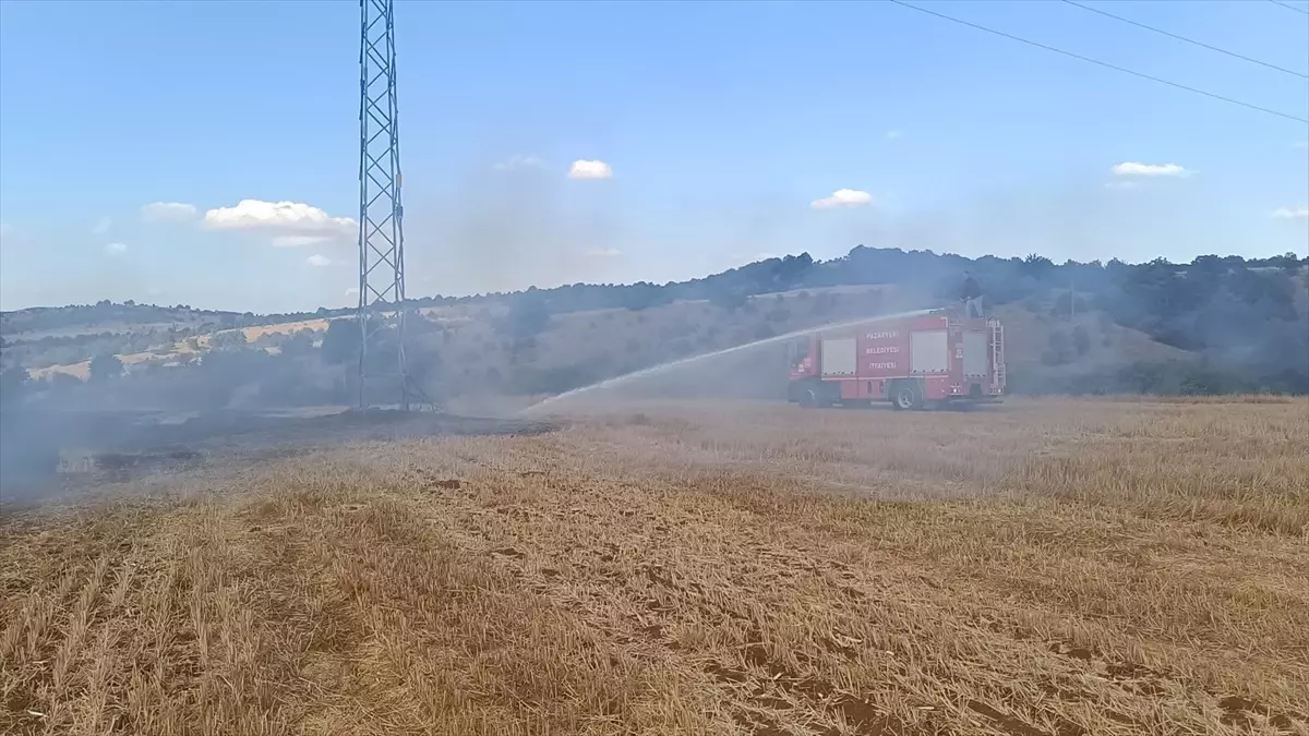 Bilecik'te Anız Yangını Kontrol Altına Alındı