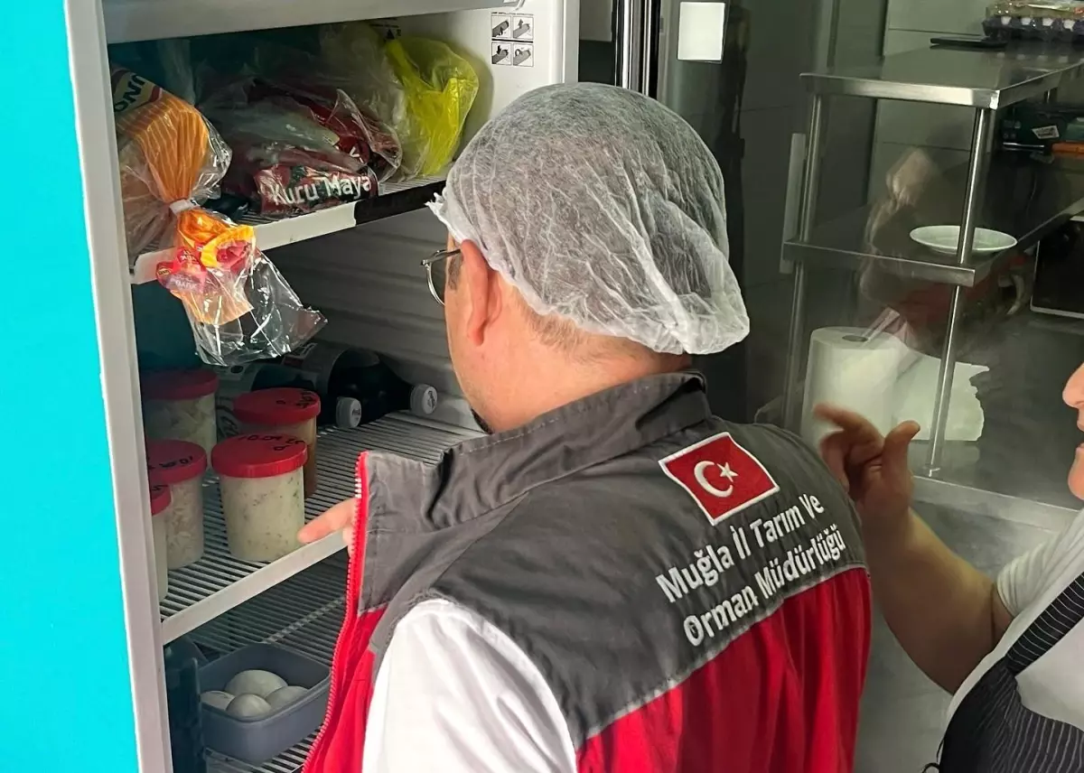 Muğla'da Gıda Denetimleri Artırıldı