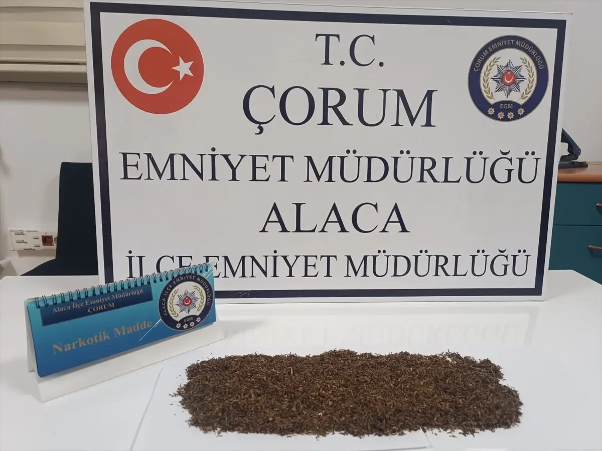Alaca'da Uyuşturucu Operasyonu