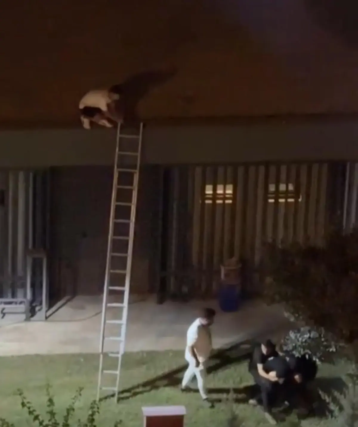 Mersin'de Güvenlik Görevlisi Tutuklandı