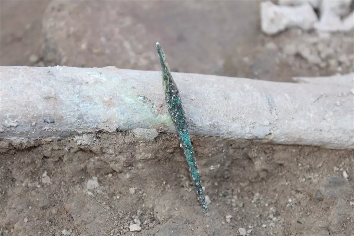İkiztepe Höyüğü'nde Hediyeli Mezarlar Keşfedildi