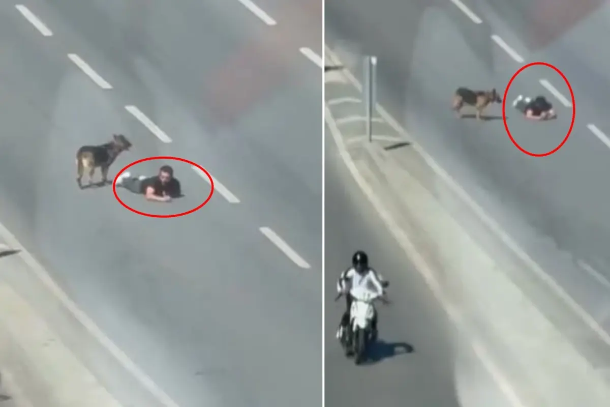 Samsun'da Sürünen Kişi Kameralara Yansıdı