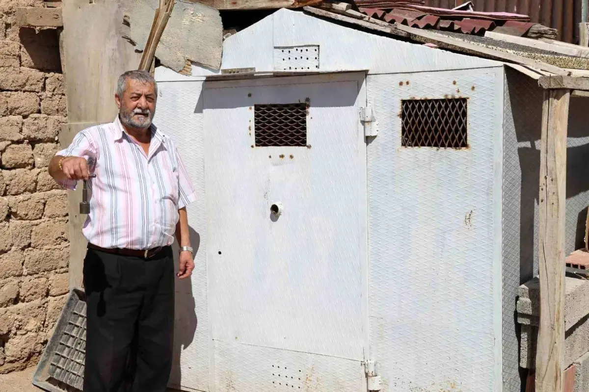 Veysel Yazıcı'nın Güvercin Sevdası