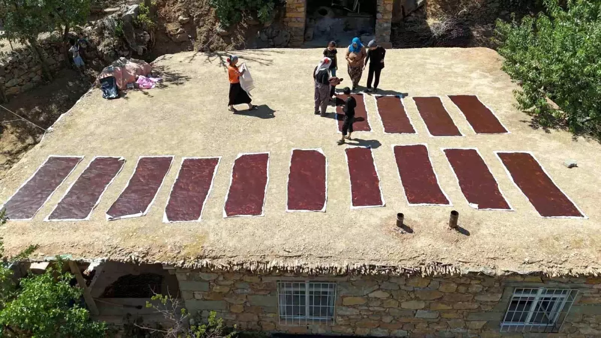 Günlüce'de Üzüm Hasadı Coşkusu