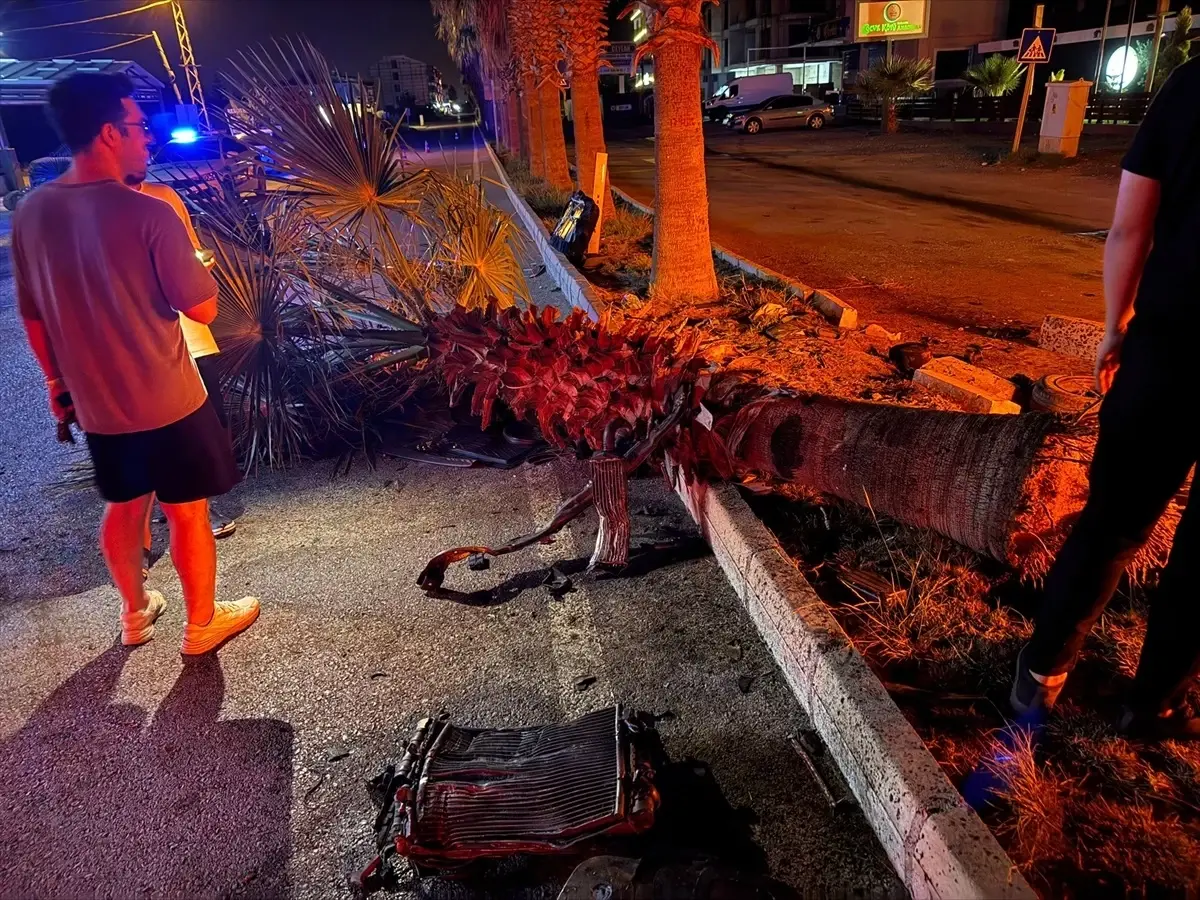 Hatay'da Otomobil Ağaçla Çarpıştı: 3 Yaralı