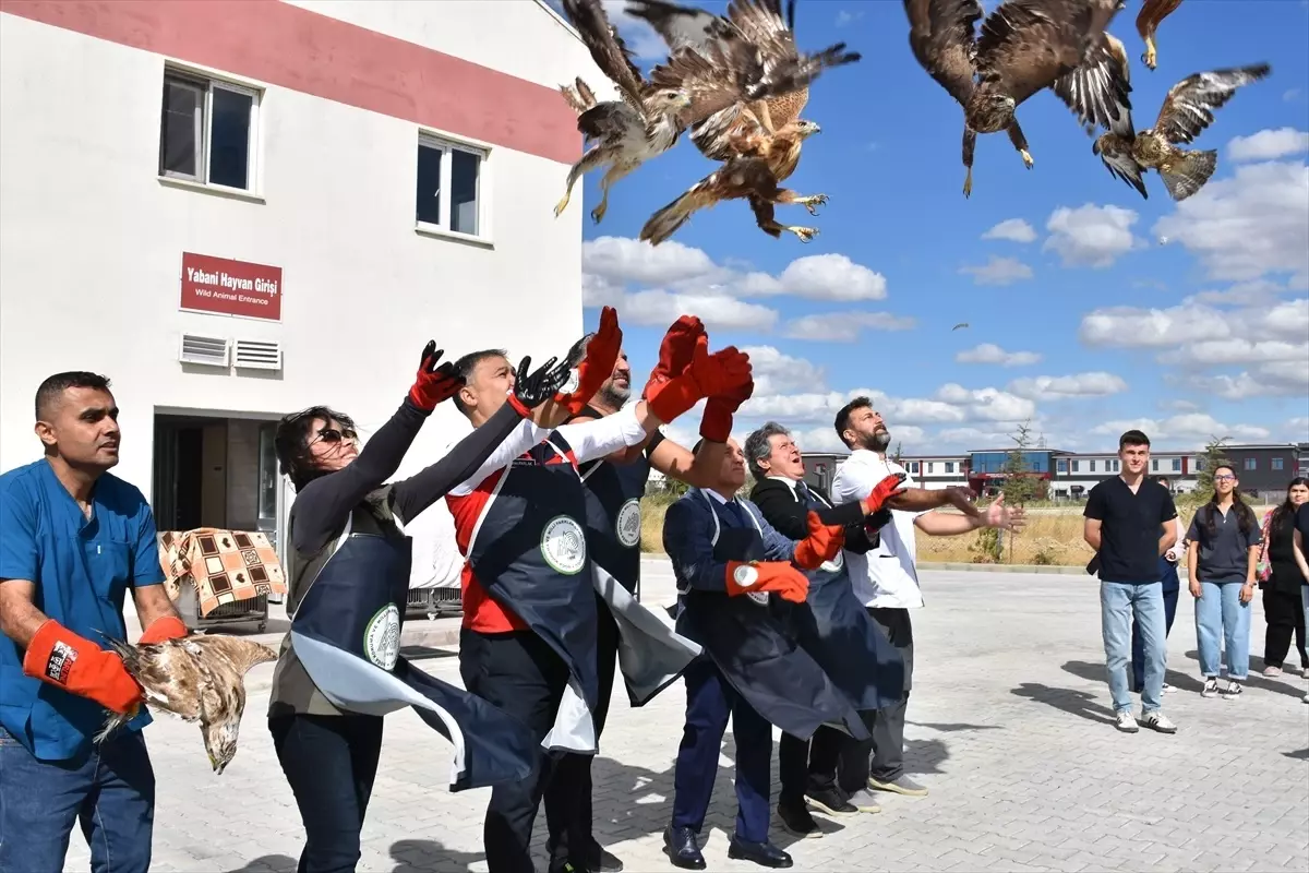 Doğaya 35 Yaban Kuşu Salındı