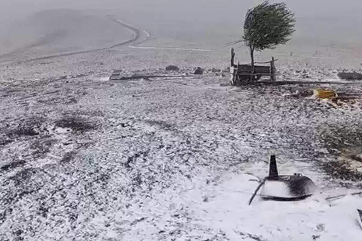 Mevsimin ilk karı Erzurum'a düştü