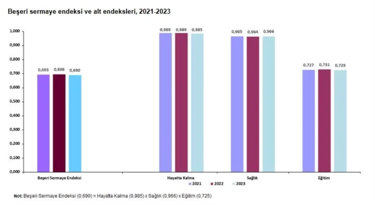 Beşeri Sermaye Endeksi 2023'te 0,690