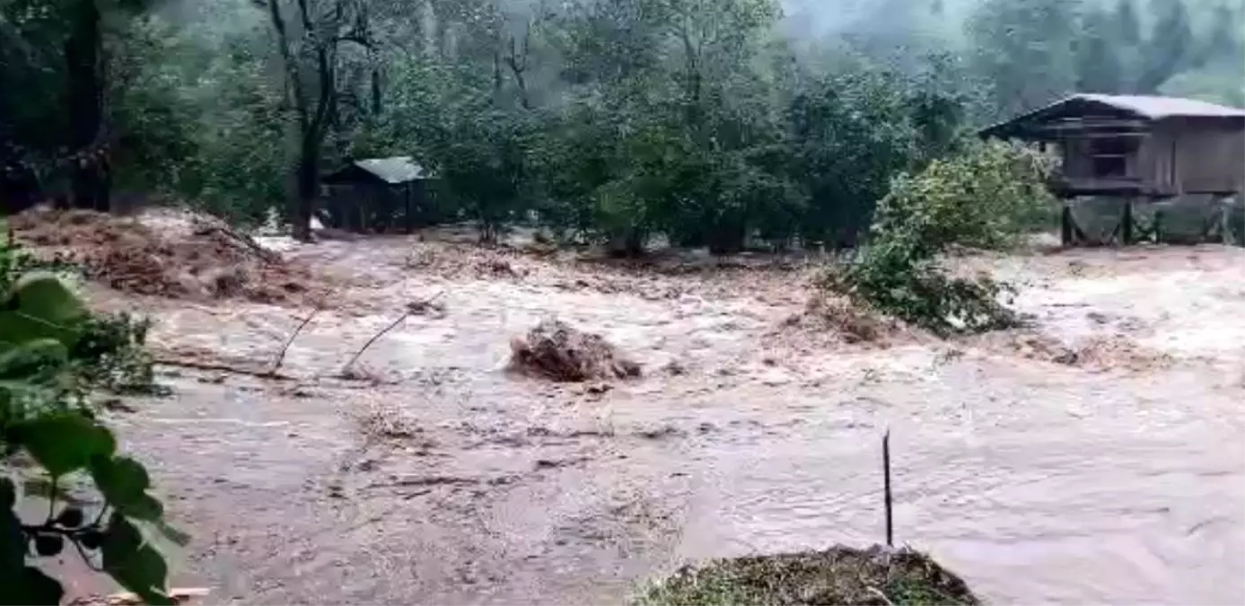 Artvin'de Sel ve Heyelan: Ulaşım Kesildi