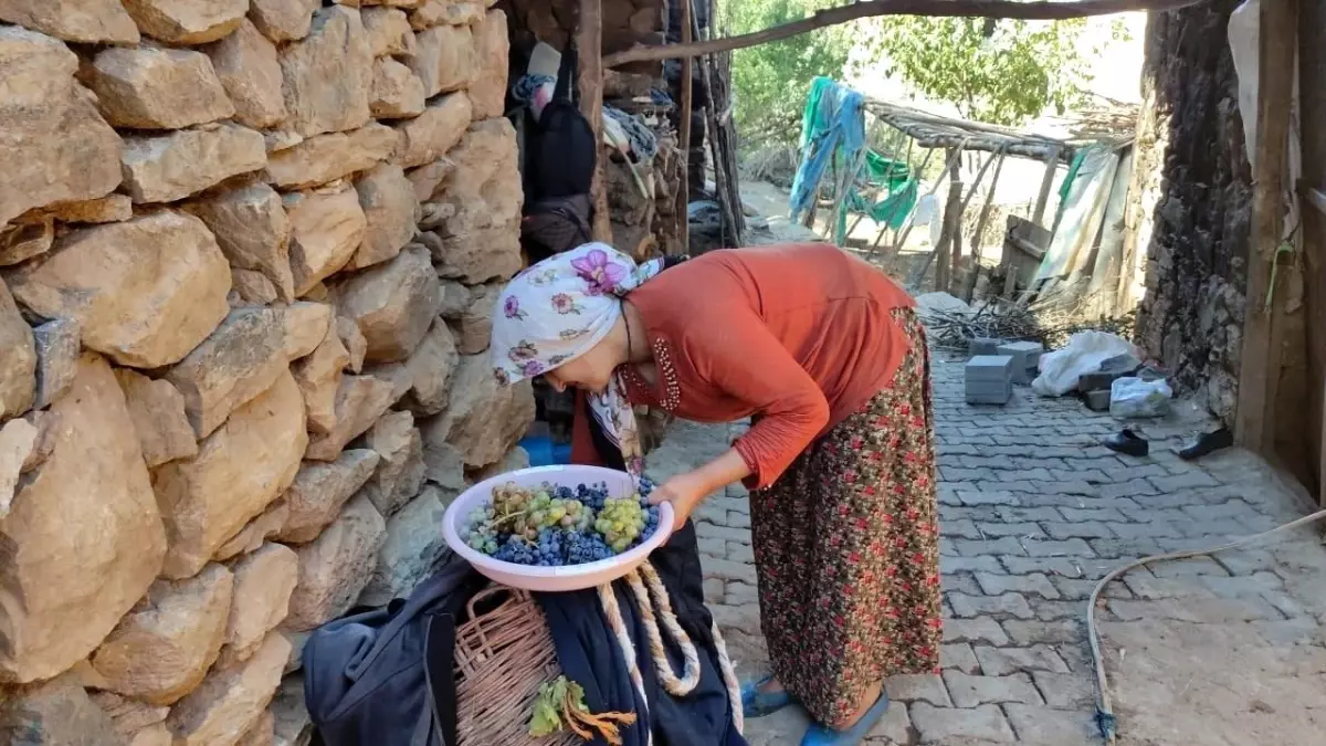 Erzincan'da Kış Hazırlığı: Meyve Kurutma
