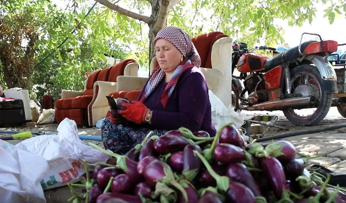 Gaziantep'te Kış Hazırlıkları Devam Ediyor