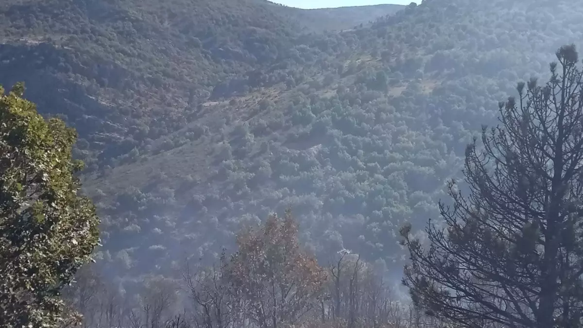 Konya'da Orman Yangını Kontrol Altında