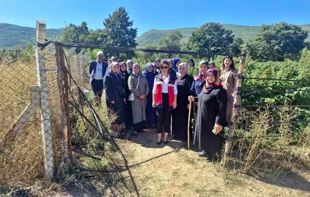Kadın Çiftçilere Teknik Gezi Düzenlendi