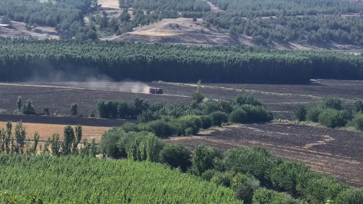 Hevsel Bahçeleri'nde Yangın