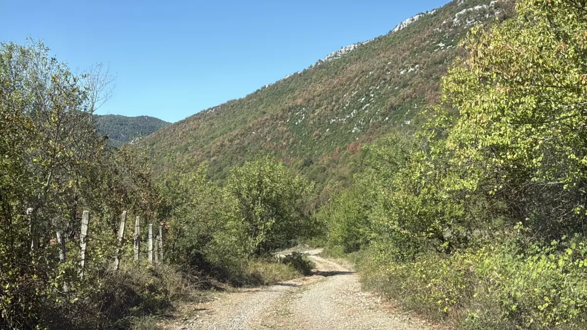 Küre Dağları Milli Parkı'nın Doğal Güzellikleri