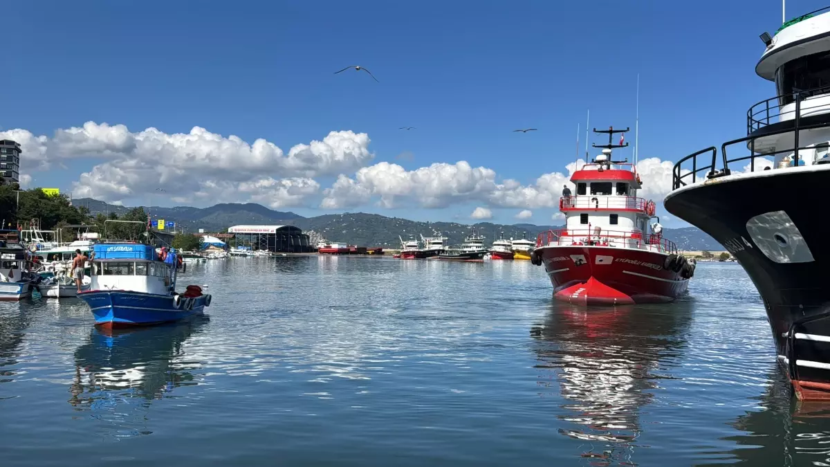 Balıkçılar Hamsi Avına Çıktı