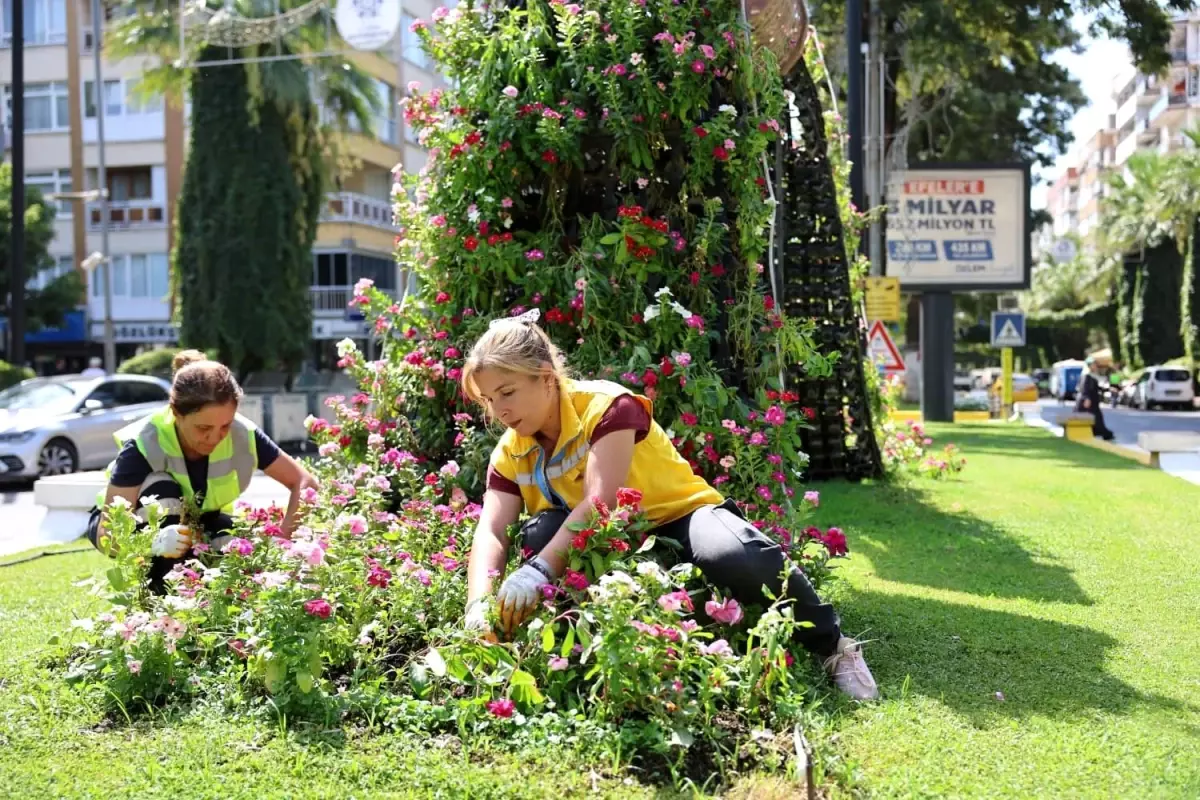 Aydın, Mevsimlik Çiçeklerle Rengarenk Bir Görünüme Kavuşuyor